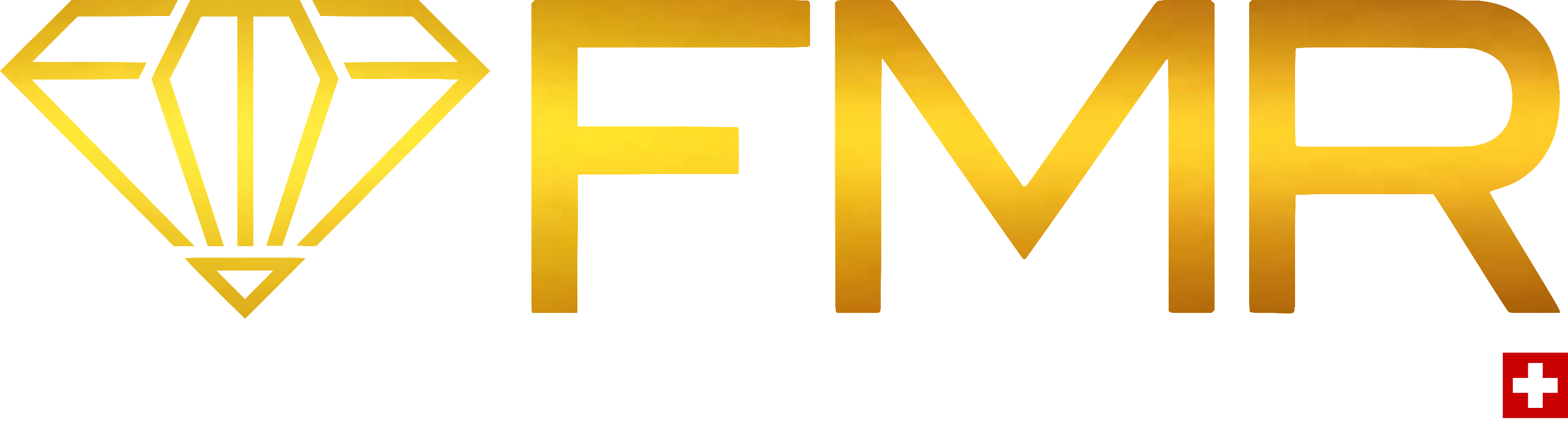 Banière FMR Façonnage de Montres Rares SARL